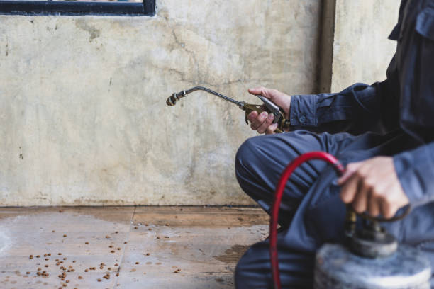 Pest Control Cost in Fall City, WA